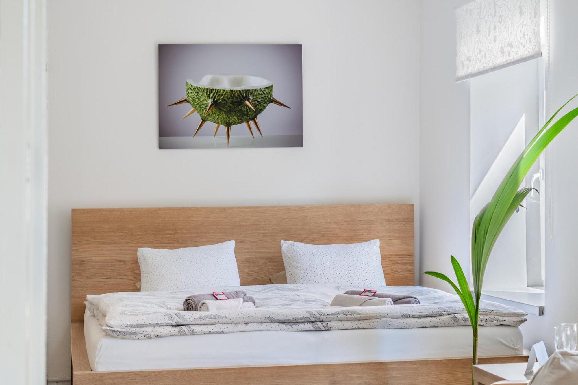 Apartmany Rozarka 투르노브 외부 사진